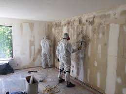 Best Mold Removal for HVAC Installations  in Burbank, IL